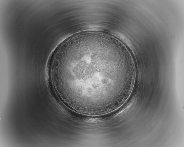 X0000094330835200711021408