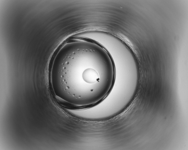 X0000094330836200711021408