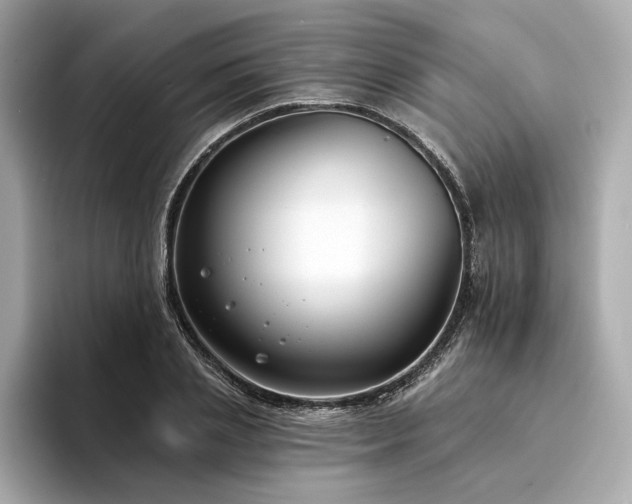 X0000094330837200711021408