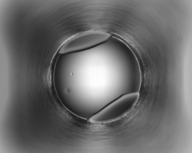 X0000094330838200711021408