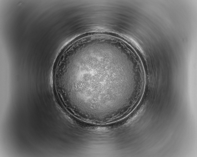 X0000094330839200711021408