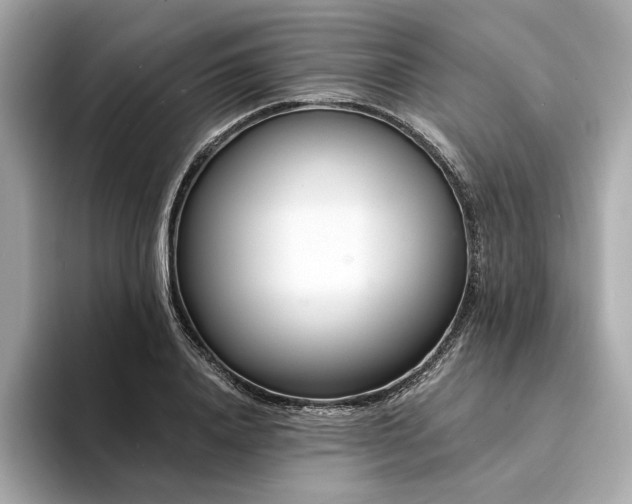 X0000094330840200711021408
