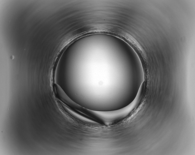 X0000094330842200711021408