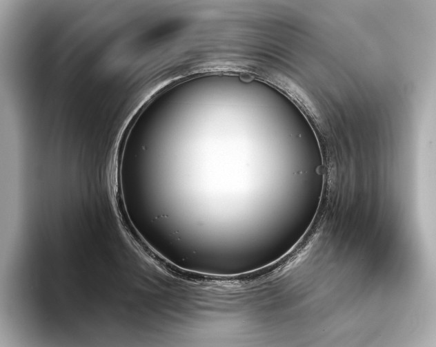 X0000094330844200711021408
