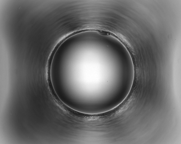 X0000094330846200711021408
