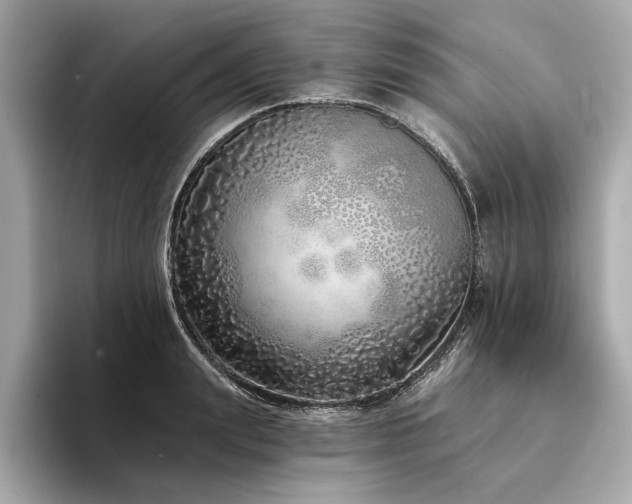 X0000094330847200711021408