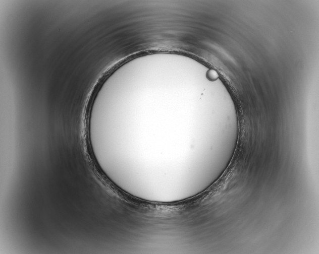 X0000094330848200711021408