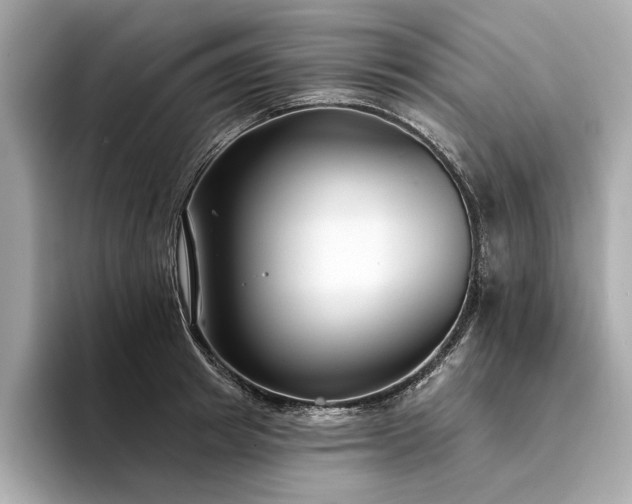 X0000094330849200711021408