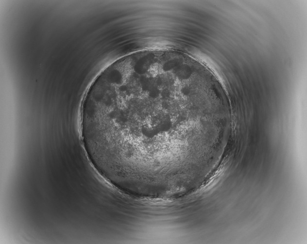 X0000094330851200711021408