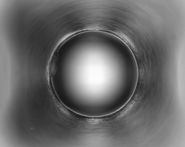 X0000094330854200711021408