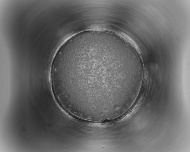 X0000094330855200711021408
