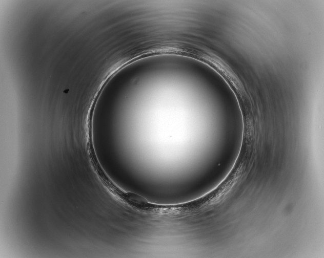 X0000094330858200711021408