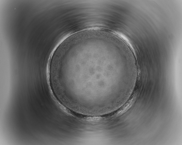 X0000094330859200711021409