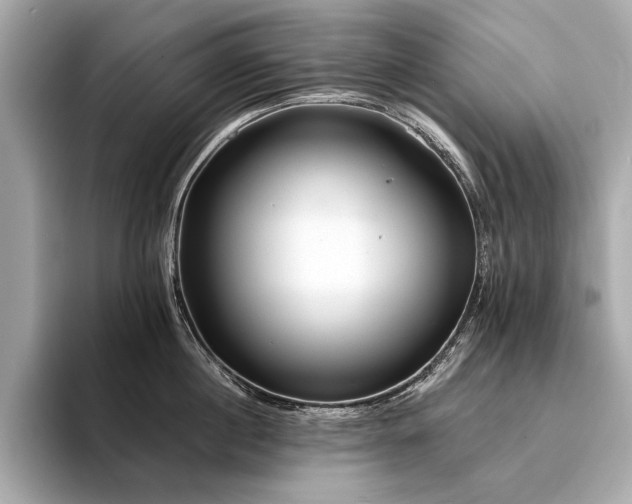 X0000094330860200711021409