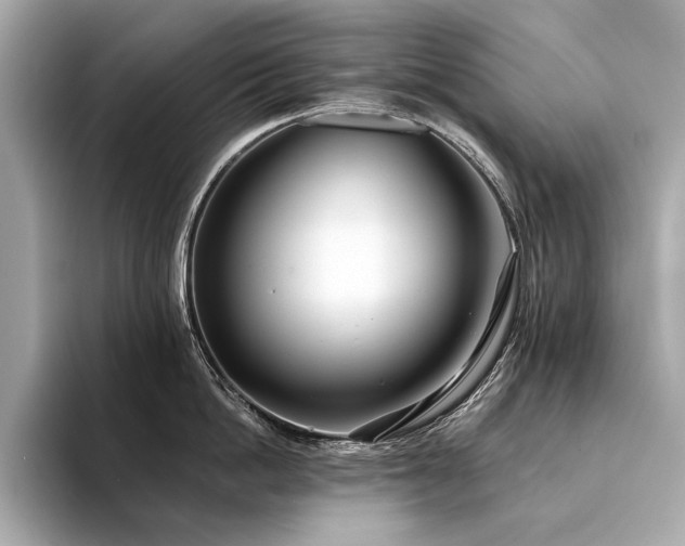 X0000094330862200711021409