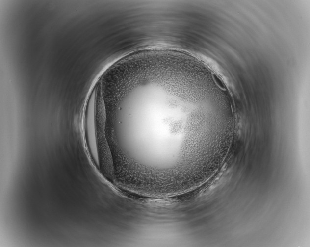 X0000094330863200711021409