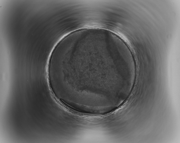 X0000094330864200711021409