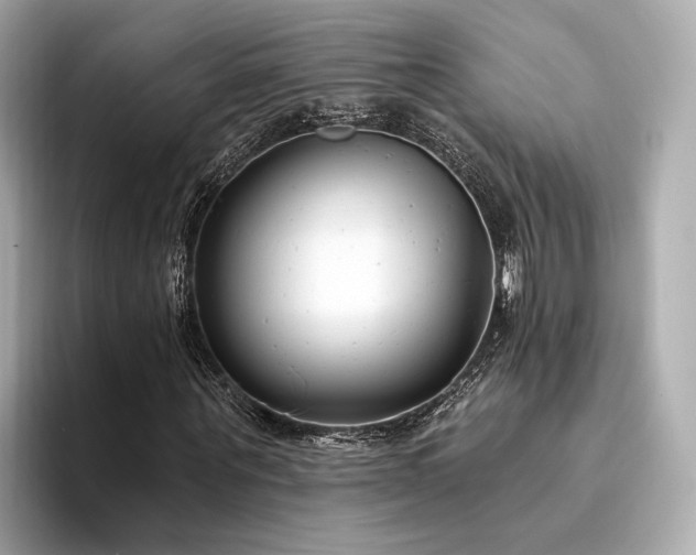 X0000094330867200711021408