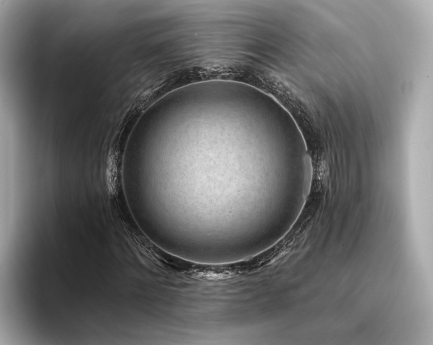 X0000094330868200711021408