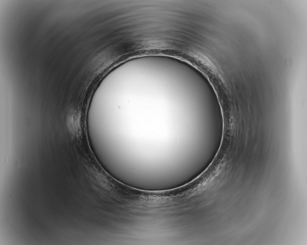 X0000094330873200711021408