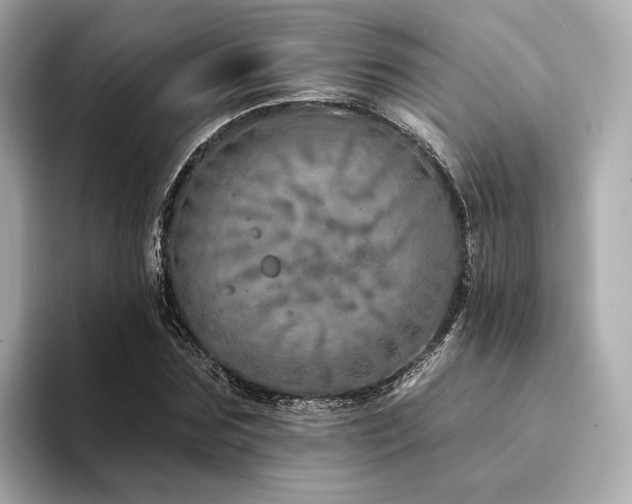 X0000094330875200711021408