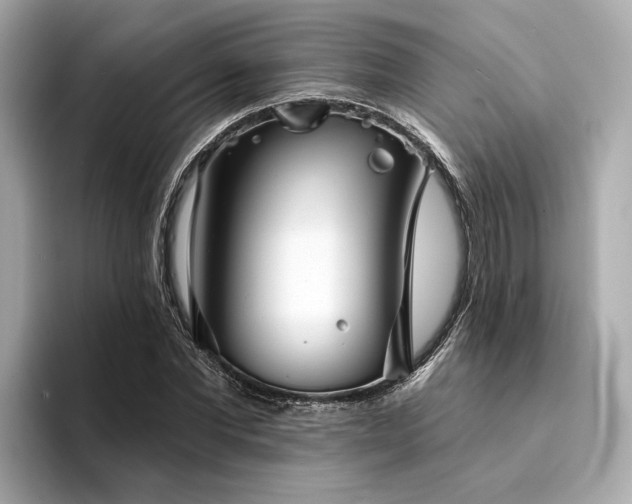 X0000094330877200711021408