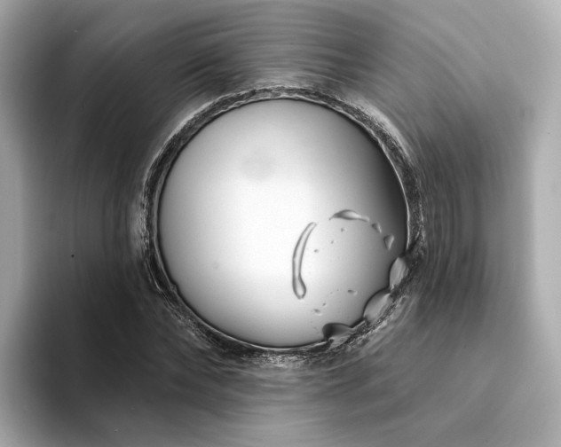 X0000094330878200711021408