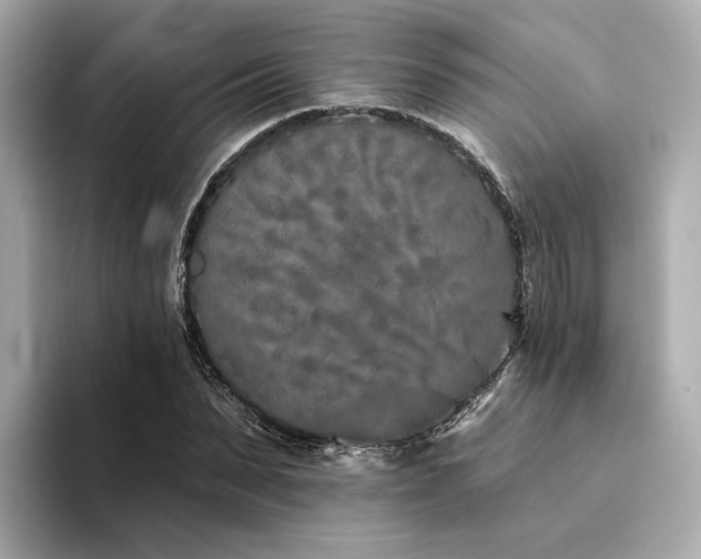 X0000094330879200711021408