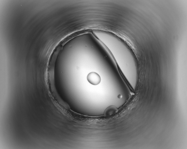 X0000094330880200711021408