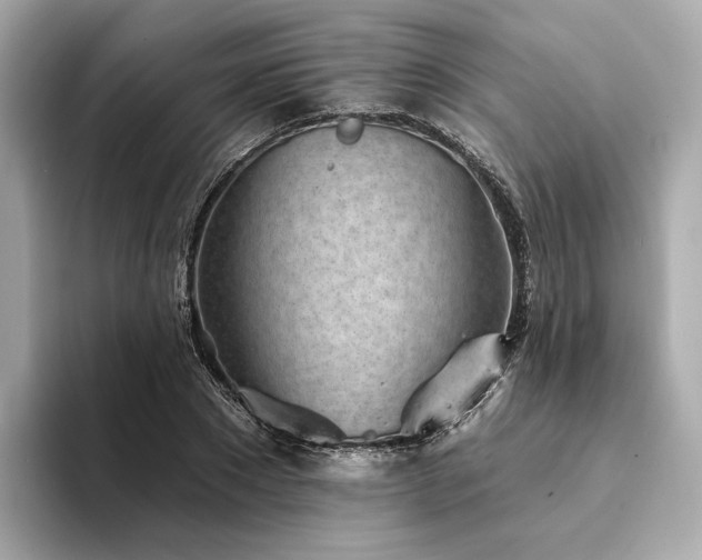 X0000094330881200711021408