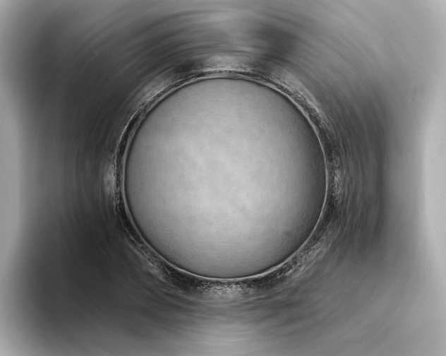 X0000094330882200711021408