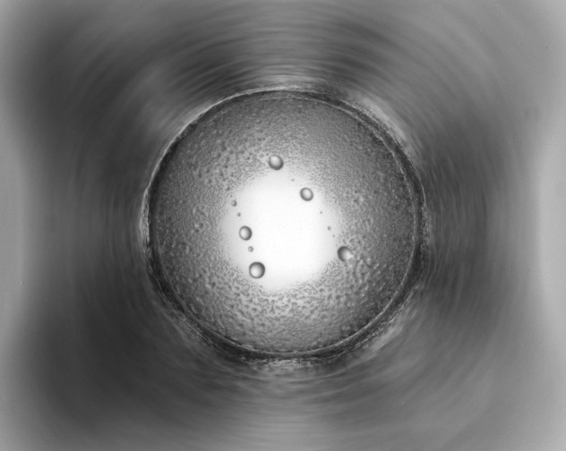 X0000094330883200711021408