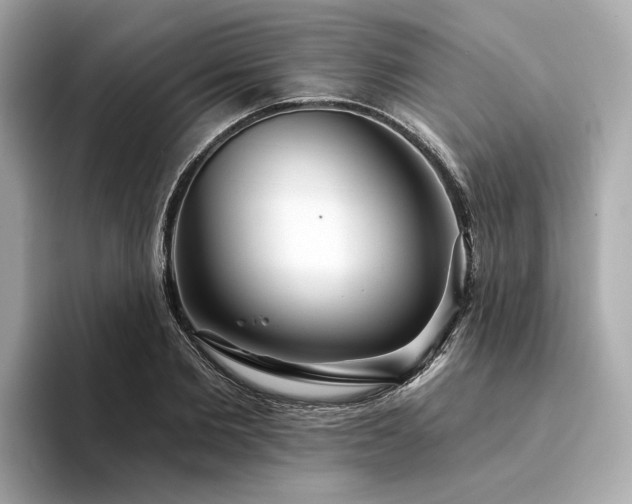 X0000094330885200711021408