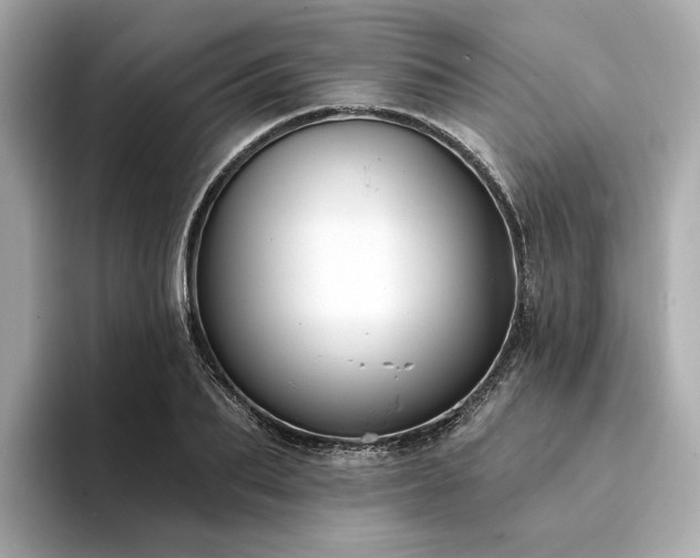 X0000094330887200711021408