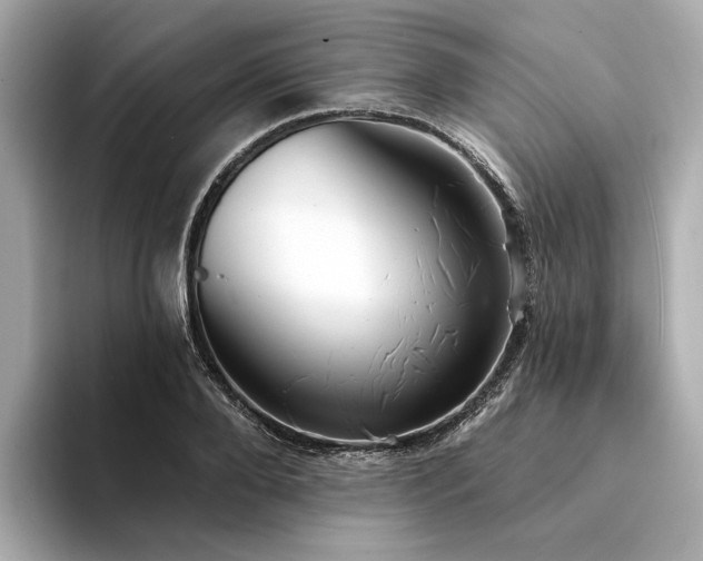 X0000094330888200711021408