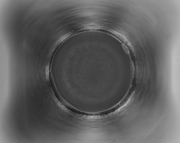 X0000094330889200711021408