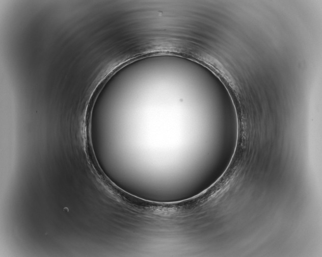 X0000094330890200711021408