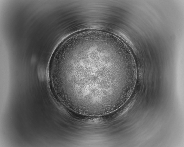 X0000094330891200711021408