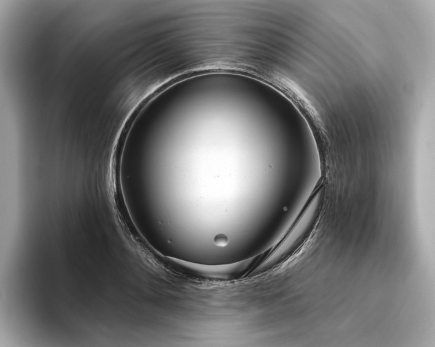 X0000094330892200711021408