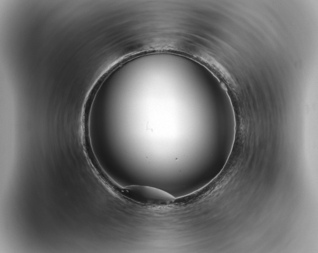 X0000094330894200711021408