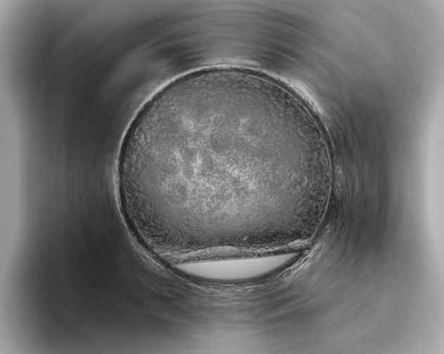 X0000094330895200711021408