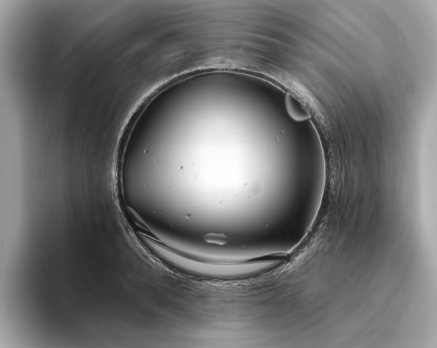 X0000094330896200711021408