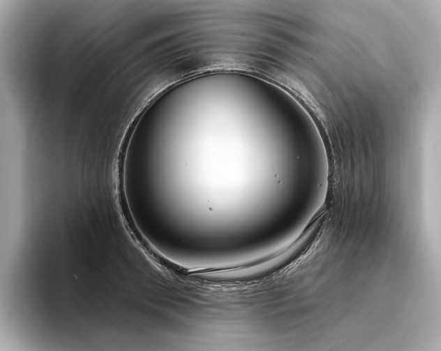 X0000094330898200711021408