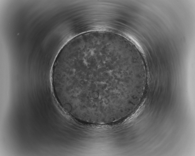 X0000094330899200711021408