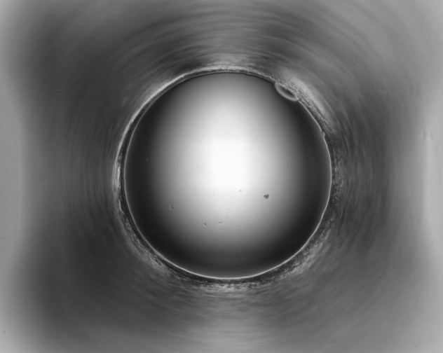 X0000094330900200711021408