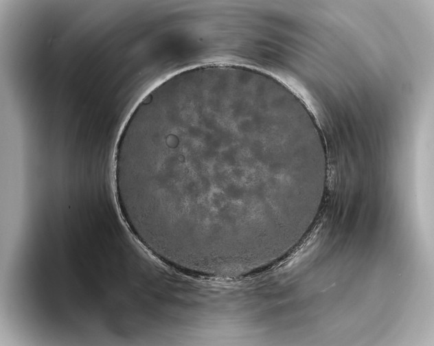 X0000094330903200711021408