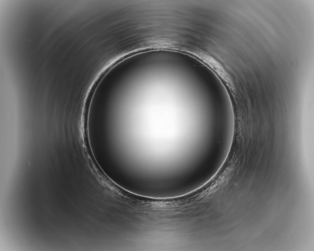 X0000094330904200711021408