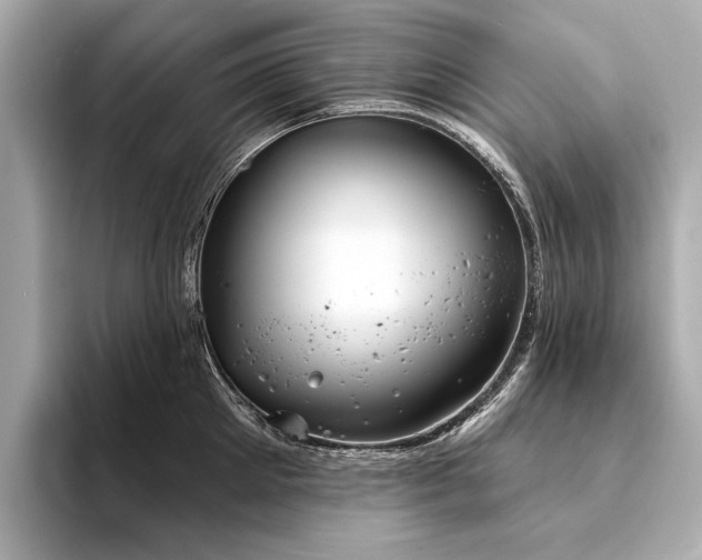 X0000094330905200711021408
