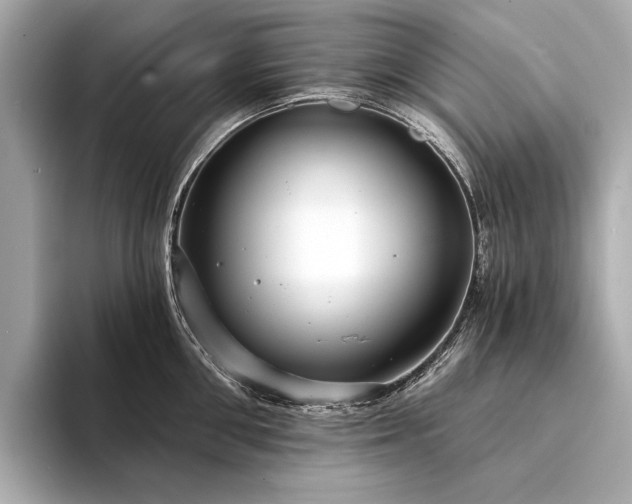 X0000094330906200711021408