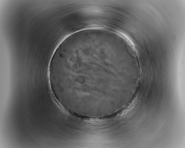 X0000094330907200711021408